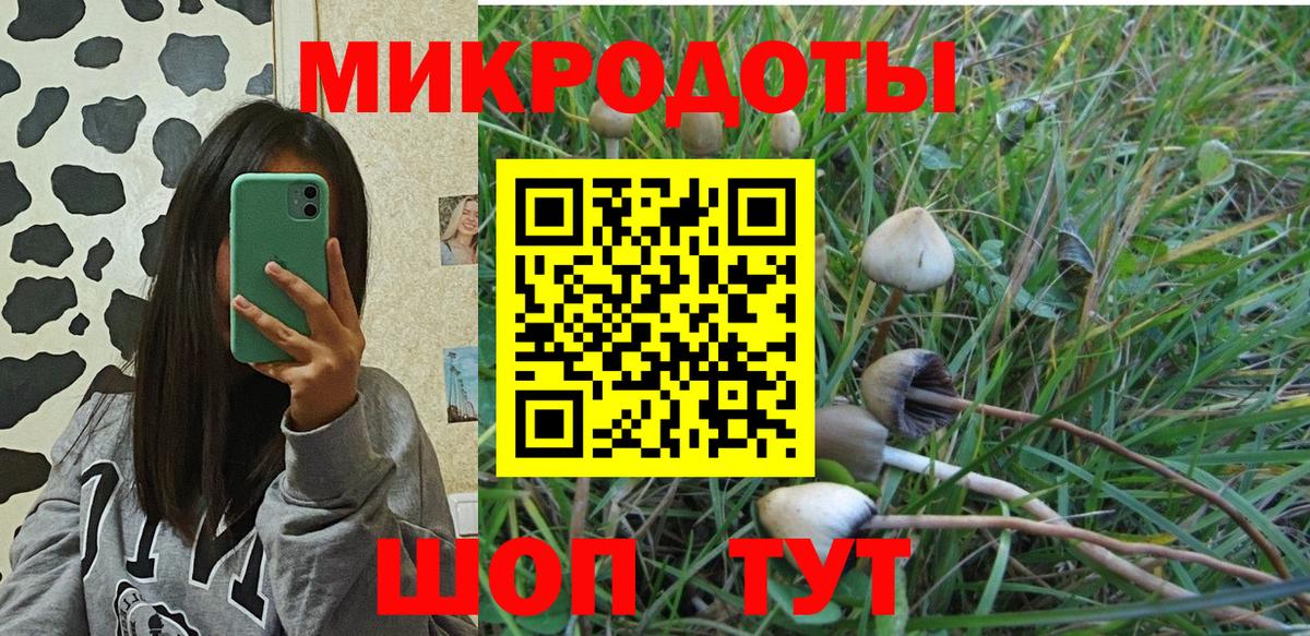 Галлюциногенные грибы прущие грибы Керчь